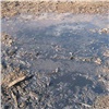 Коммунальная служба в Заозерном загрязнила почву и реку. Ущерб составил 37 млн рублей