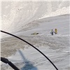 Тела еще двух туристов из Зеленогорска нашли на месте схода лавины в Саянах (видео)