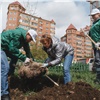 Волонтеры «Зеленой волны» высадили более 1300 саженцев в Красноярском крае