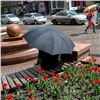 В Красноярск идет летняя жара с дождями, шквалом и грозами