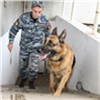 В полиции рассказали историю появления в Красноярске первой служебной собаки. Ее привезли из Риги