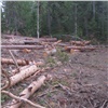 Красноярца отправили в колонию за 50 вырубленных в заповедном месте деревьев 