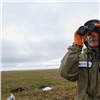 «Академический подход к полевым исследованиям»: Сибирское отделение РАН направит в Арктику Большую норильскую экспедицию
