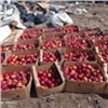 В Красноярске уничтожили 400 кг немаркированных яблок 