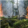 Особый противопожарный режим сняли в Красноярске и большинстве территорий края