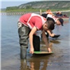 Юные геологи из Красноярска отправятся в экспедицию