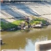 «Обмазываются грязью и кайфуют»: красноярцы заметили купающихся детей на берегу Качи (видео)