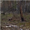 «Спилил две с половиной тысячи деревьев»: предпринимателя из Красноярского края осудят за незаконную рубку леса на 22 миллиона (видео)