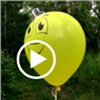 «Лес и воздушные шарики — это метафора цифрового мира»: красноярские полицейские сняли философский видеоролик про безопасность детей (видео)