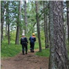 За выходные спасатели вывели из лесов Красноярского края четырех «потеряшек» и помогли двум туристам на «Столбах»