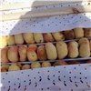 На красноярском рынке нашли более 2 тонн персиков с плодожоркой. Фрукты уничтожили