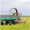 Фермеры Красноярского края получат миллионные гранты на развитие агробизнеса