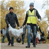 Красноярские волонтеры собрали более 6 тонн мусора с берега Енисея в «День реки»