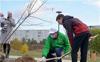 «Здесь уже хочется гулять!»: как меняется красноярский Солнечный