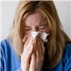 В Красноярском крае откроется «горячая линия» о гриппе и ОРВИ