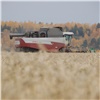 «Революция в технологии сельского хозяйства»: в Красноярском крае подвели предварительные итоги уборочной кампании