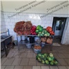 В столовой популярного красноярского курорта изъяли 245 кг опасных овощей 