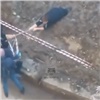 «Репка или Винни Пух?»: в Красноярске подростка засосало в вырытую коммунальщиками яму (видео)