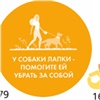 «У собаки лапки — помогите ей убрать за собой»: школьники разработали для Красноярска позитивные дорожные таблички 
