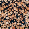 В Красноярском крае накрыли крупную сеть незаконного экспорта леса в Китай. Вывезли древесины на 260 миллионов