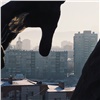 «Воздух вновь становится опасным»: с приходом холодов в Красноярск вернулся смог 