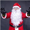 Железногорец в костюме Деда Мороза оплачивал покупки украденной у приятеля картой (видео)