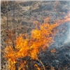 За информацию о поджигателях лесов в Красноярском крае заплатят по 10 тысяч рублей 