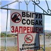 Красноярцам напомнили о штрафах за купание в запрещенных местах и назвали их адреса
