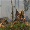 В Красноярском крае опять горит лес