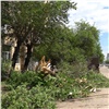 Глава Красноярска распорядился остановить вырубку деревьев на Красной Армии. Разрешения на снос не выдавали