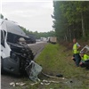 На трассе между Красноярском и Ачинском «ГАЗель» столкнулась с грузовиком