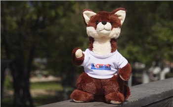 «Подарим детям чистый мир»: сотрудники «Славнефть-Красноярскнефтегаз» приготовили подарки красноярским детям к Дню знаний