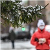 Новая неделя принесет Красноярску морозы до −21 °C