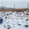 В Красноярске с улицы Петра Подзолкова вывезут 150 КамАЗов мусора