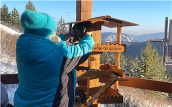 «Этим нужно жить!»: в Красноярске отметили День волонтера уборкой на «Столбах»