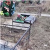 Разгромивший могилы на Шинном кладбище в Красноярске вандал предстанет перед судом (видео)