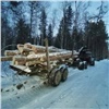 Лесосибирца уличили в контрабанде леса на сумму более 6 млн рублей: возбуждено 8 уголовных дел 