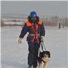 В Красноярском крае спасатели учились десантироваться без парашютов вместе с собакой (видео)