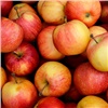 В Красноярский край впервые за четыре года привезли яблоки из Китая