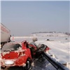 Автоледи на Toyota Vitz погибла при столкновении с грузовиком под Красноярском (видео)