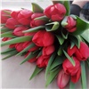 Названа стоимость тюльпанов к праздникам из теплиц Красноярска