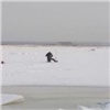 Льдину с рыбаками оторвало от берега в Красноярском крае