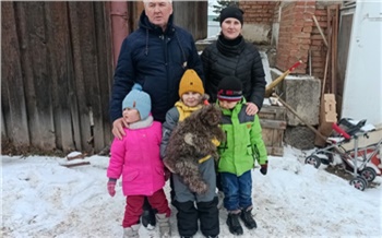 «Дети больше не хотят пить молоко из магазина»: как господдержка подсобного хозяйства изменила жизнь многодетной семьи