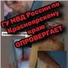 Красноярская полиция опровергла информацию из соцсетей о жестоком убийстве ребенка в Шарыпово