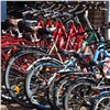 Суд признал незаконным муниципальный прокат велосипедов на красноярском Татышеве 