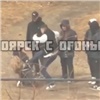 В Красноярске полиция ищет участников подростковых разборок на Павлова (видео)