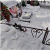 Молодого лесосибирца подозревают в повреждении 25 надгробий на местном кладбище (видео)