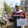 Волонтеры компаний РУСАЛ и Эн+ высадят 2000 саженцев деревьев и кустарников в 18 городах