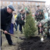 На Аллее Победителей в Железнодорожном районе Красноярска высадили деревья