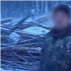 В Енисейском районе местный житель обманул лесозаготовщиков и срубил сосны на сумму больше миллиона рублей (видео)